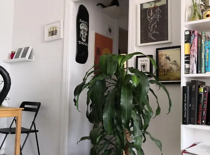 My Quiet House